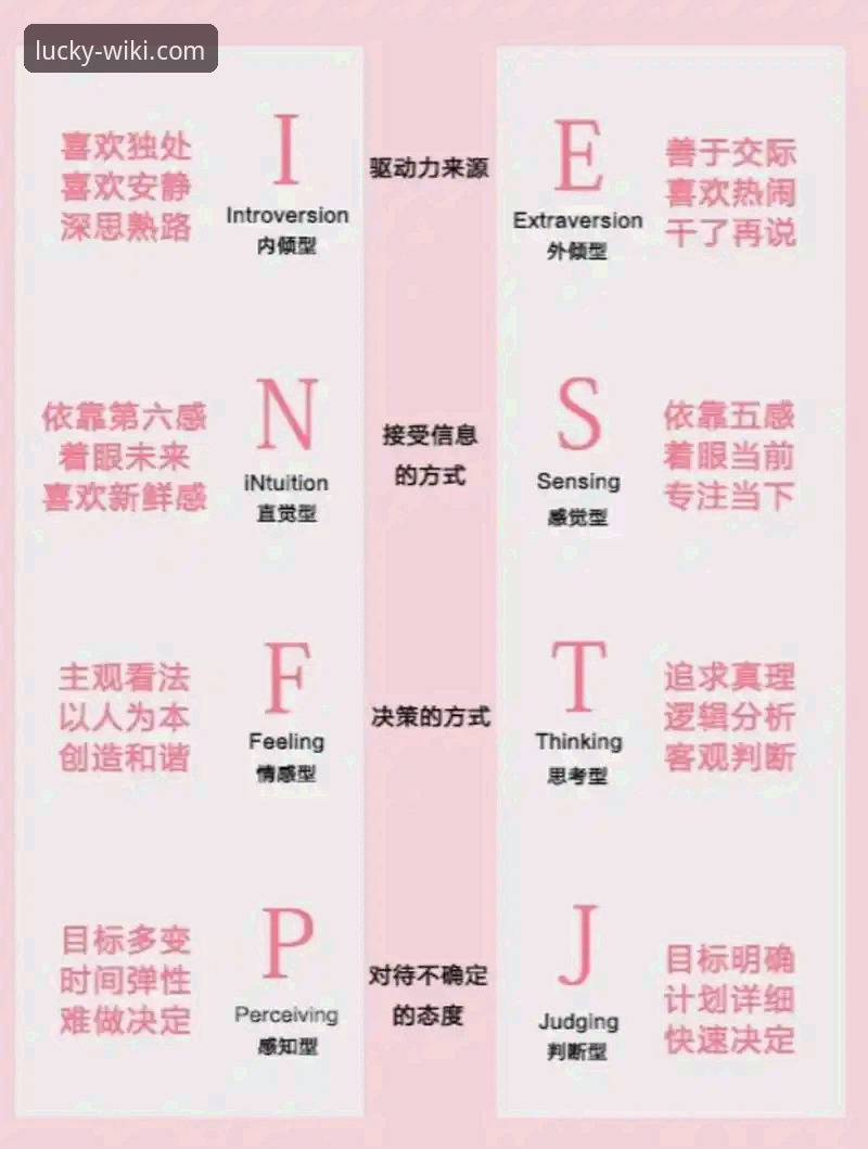 维基体育怎么样 3个关键维度解析维基体育怎么样:从下载体验到功能升级的深度评测